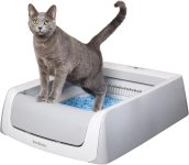 10 Best Automatic Cleaning Cat Litter Boxes